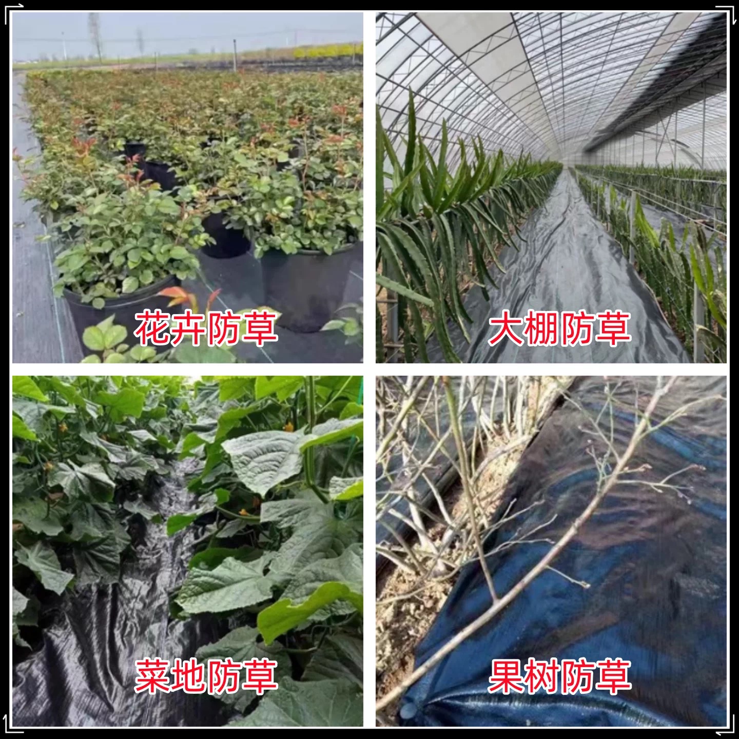 百色市地膜防草布 - 一站式服务