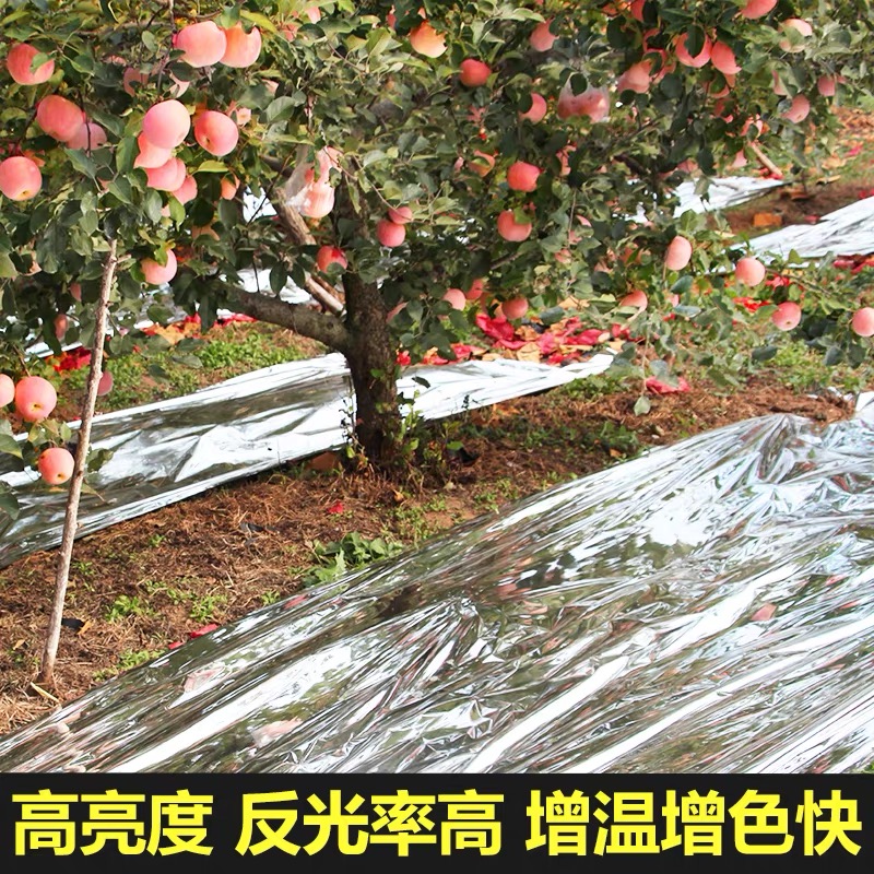 百色市防草布果树反光膜 - 哪里好